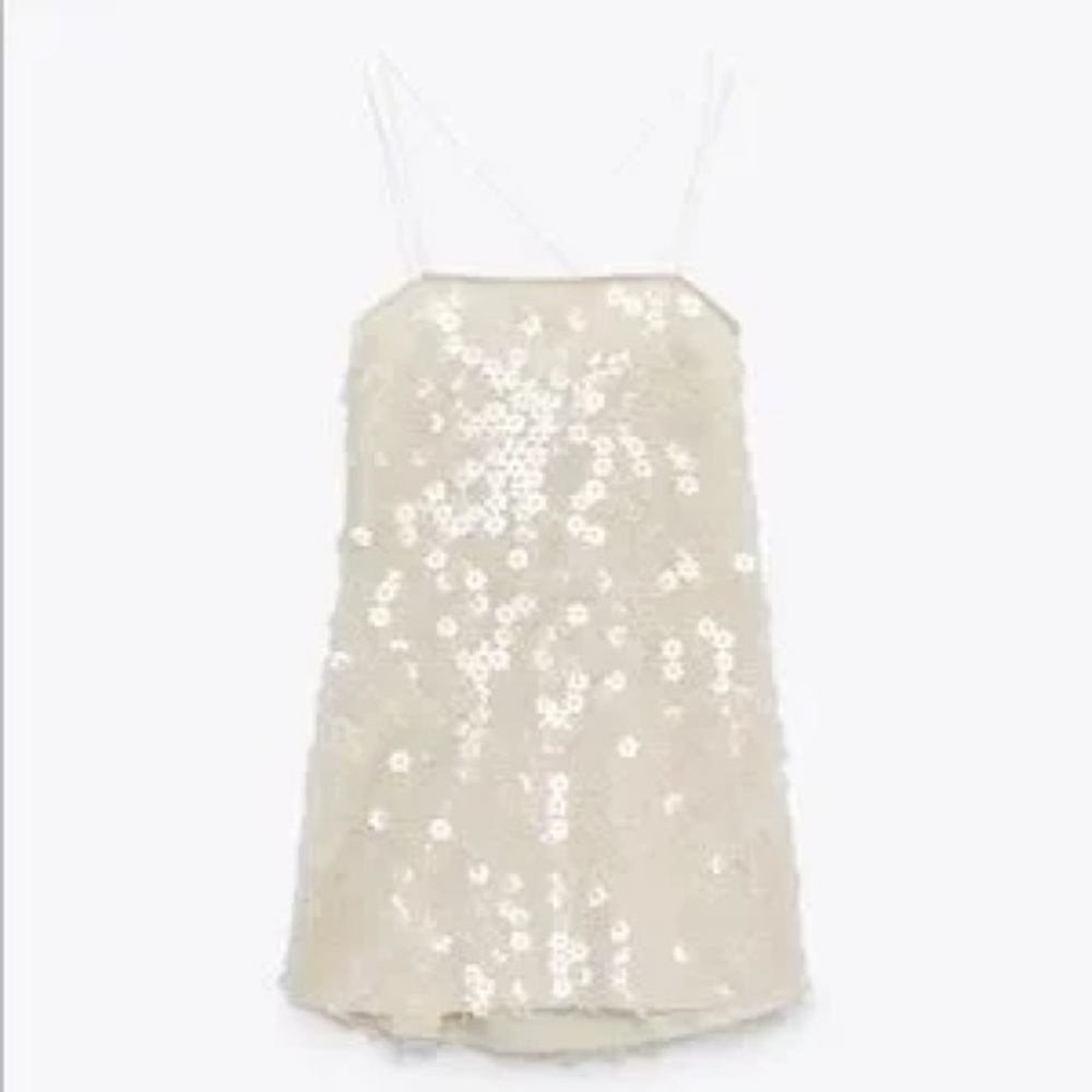 Zara Floral Sequin Cream Mini Dress